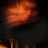 Avatar for winndsito