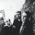 Avatar for Toad The Wet Sprocket