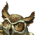 Avatar for PakoTuK