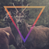 Avatar for Jordan_Lienlaf