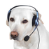 Avatar for lelsasxd