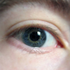 Avatar di rogue_pigeon