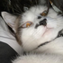 Avatar for Parathesis
