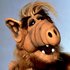 Alf için avatar