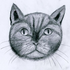 Avatar for emmarycloth
