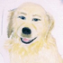 Avatar for Shaggyvara