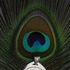 Avatar for ne0lithic