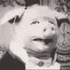 Avatar für MarkyPV
