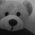 Avatar de pungiss