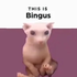 Avatar for bingusworld