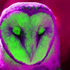 Avatar für hideandsleep88