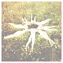 Avatar di graceinrain