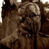 Avatar di Bsat2