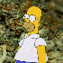 Avatar for koeniq