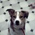 Avatar di katie78