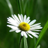 Avatar for sylwia468