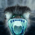 Avatar for kongolavvi