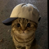 Avatar for RyRuck1
