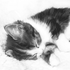 Avatar for nilluas