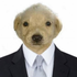 Avatar for herb_on_osu