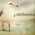 Avatar di Seagull Orchestra