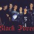 Avatar for Black Forest