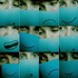 Avatar for pienipienifauni