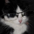 Avatar de syrus_1