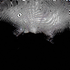 Avatar for MegaRealZex