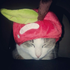 Avatar de df324rfrwefwe