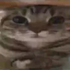 Avatar for freakz999