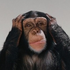 Avatar di escosoft