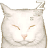 Avatar für mervine32