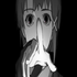Avatar de kingspookie1381