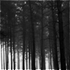 Avatar for Imekxus