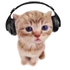 Avatar for msolav