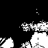 Avatar for Elfowl