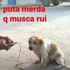 Avatar för gleaomelo