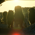 Avatar für eonblue27