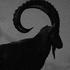 Avatar for aalepozz