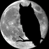 Avatar di IsAstralShy
