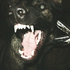 Avatar for Joaobck1466