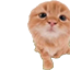 Avatar for Finleap