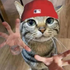 Avatar for Koeninsberg
