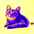 Avatar for z7v