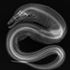 Avatar for ssshaihuluuud