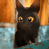 Avatar for JustinatorN7
