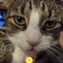 Avatar for Daftdrunk01