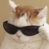 Avatar for DicoB2