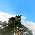 Avatar for Skaiwater Archive